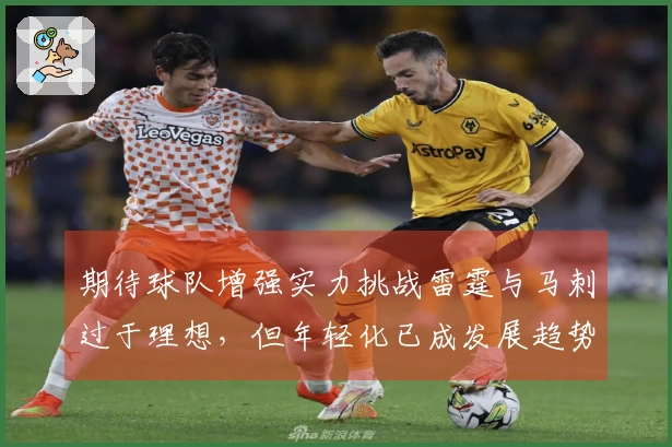 期待球队增强实力挑战雷霆与马刺过于理想，但年轻化已成发展趋势